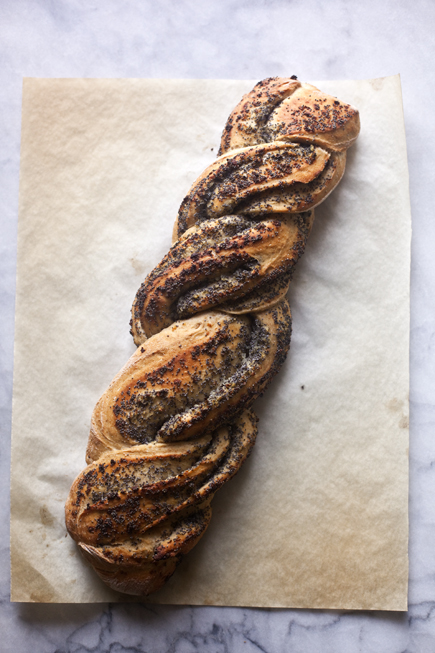 Onion Poppy Seed Twist Bread – Artisan Bread in Five Minutes a Day