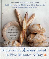 GFBreadIn5 Cover for website review page