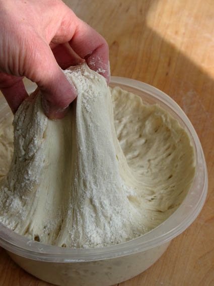 Pain d'Epi (Wheat Stalk Bread) Dough | Artisan Bread in 5 Minutes a Day