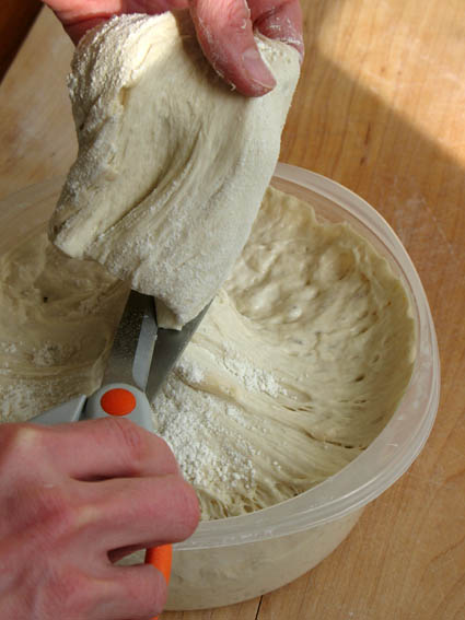 Cutting Pain d'Epi (Wheat Stalk Bread) Dough | Artisan Bread in 5 Minutes a Day