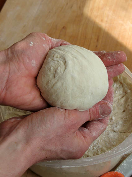 Forming Pain d'Epi (Wheat Stalk Bread) | Artisan Bread in 5 Minutes a Day