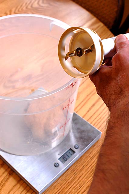 Immersion Blender | Artisan Bread in Five Minutes a Day