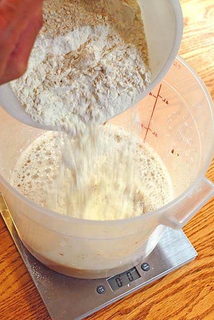 Adding flour into bread mixture | Artisan Bread in Five Minutes a Day