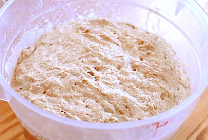 Dough ready after resting | Artisan Bread in Five Minutes a Day