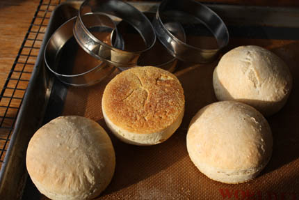 https://artisanbreadinfive.com/wp-content/uploads/2009/01/english-muffins04.jpg