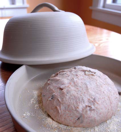 Incredible crust: bread-baking in a cloche - Artisan Bread in Five Minutes  a Day