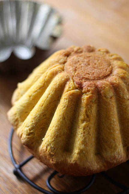 Experimenting with dough enhancer and Pumpkin Pie Brioche - Bread