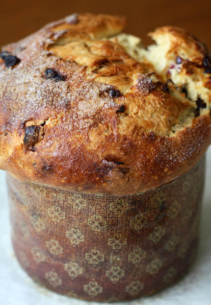 American-Style Panettone Recipe