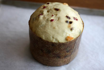 Panettone in Brazil: from Christmas tradition to everyday delight - Casa  Rinaldi