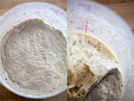 storage - How to tell apart mold and flour on sourdough bread