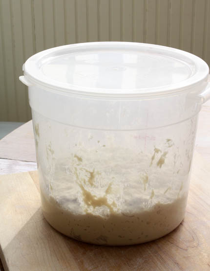 fresh-yeast-dough-03