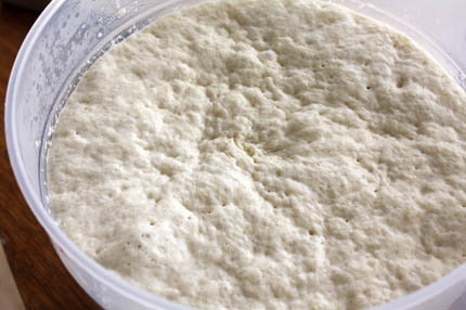 fresh-yeast-dough-05