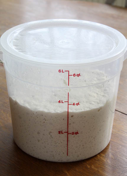 fresh-yeast-dough07