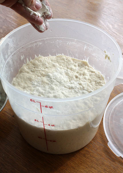 fresh-yeast-dough08