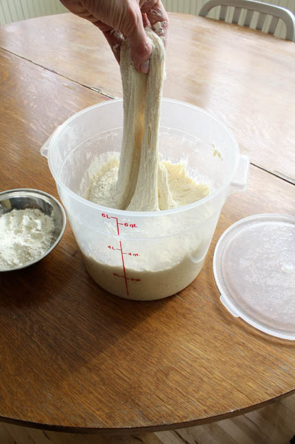 fresh-yeast-dough09