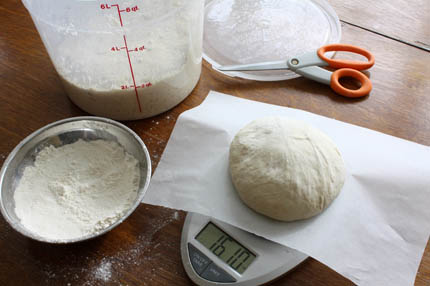 fresh-yeast-dough10