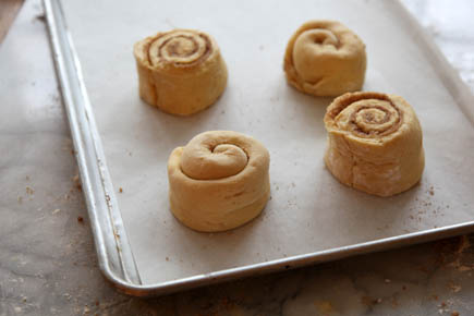 Unbaked Cinnamon Rolls on Sheet Pan | Artisan Bread in 5 Minutes a Day