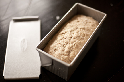 Pullman Loaf | Artisan Bread in Five Minutes a Day