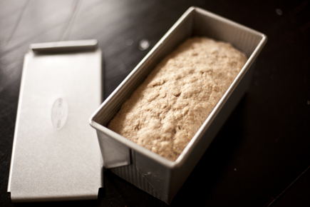 Pullman Loaf - Artisan Bread in Five Minutes a Day