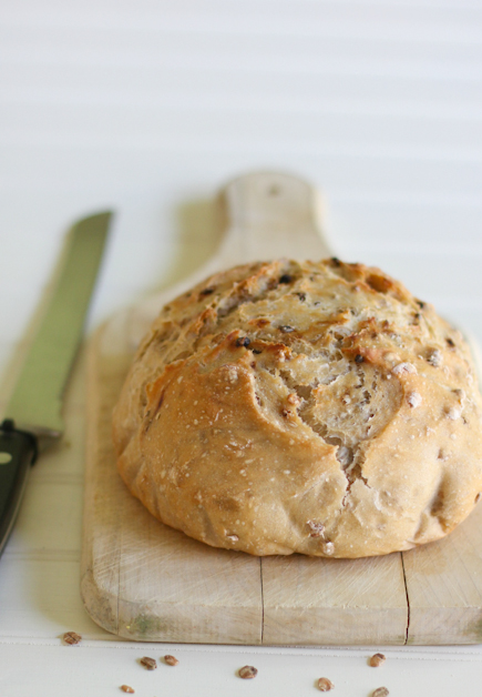 English Granary Bread | Artisan Bread in Five Minutes a Day