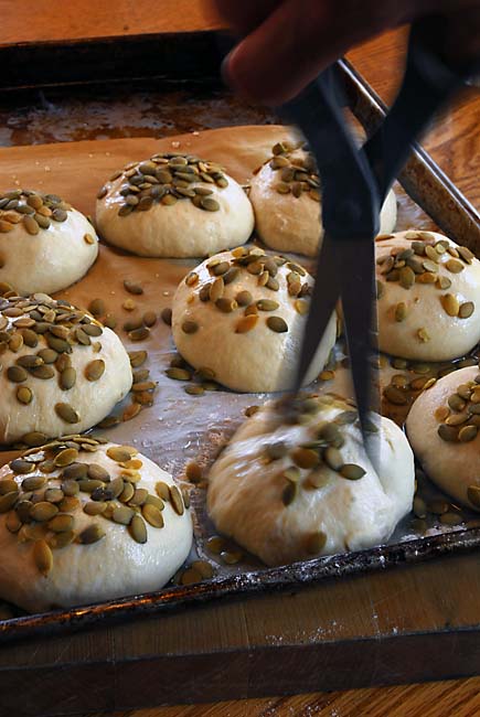 Cutting a Cross with Kitchen Shears on Kürbiskernbrot | Artisan Bread in Five Minutes a Day