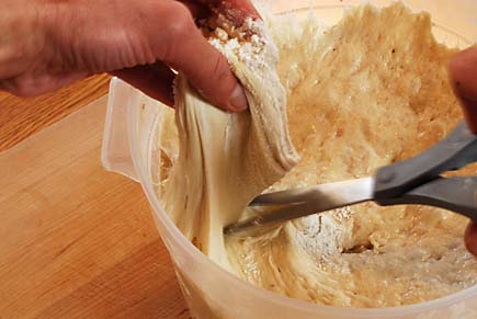 Dough for Kürbiskernbrot Pumpkin Seed Bread | Artisan Bread in Five Minutes a Day