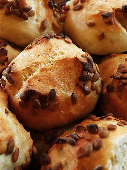 Kürbiskernbrot Pumpkin Seed Bread | Artisan Bread in Five Minutes a Day