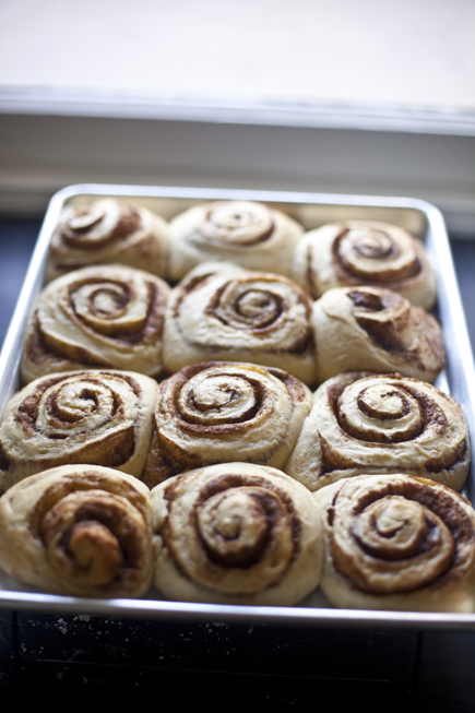 Cinnamon buns after an overnight rise | Artisan Bread in Five Minutes a Day