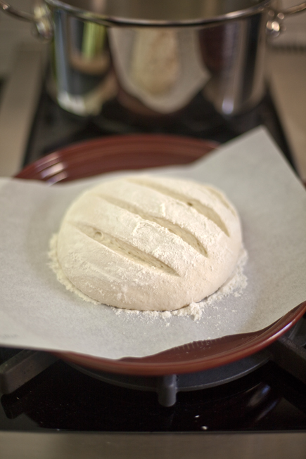 Baking in a Cloche - Artisan Bread in Five Minutes a Day