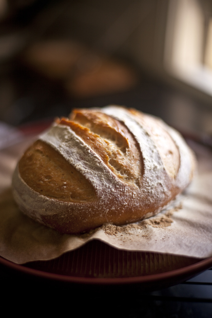 First time using a pan, I won't use my bread cloche for some time after  this : r/Breadit