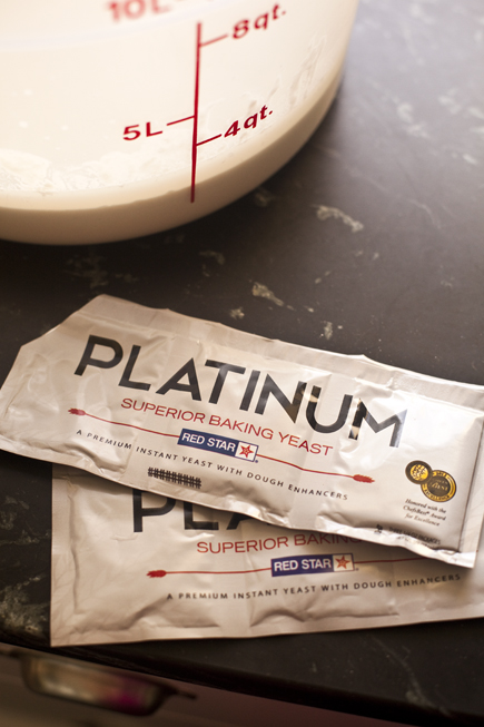 Platinum Yeast | Artisan Bread in Five Minutes a Day
