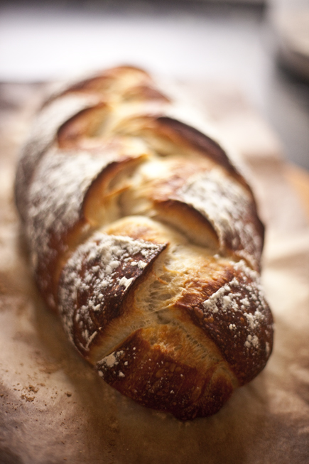 Braided Peasant Bread | Artisan Bread in Five Minutes a Day