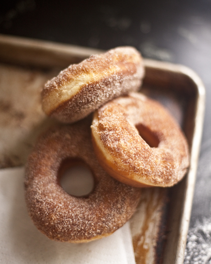 Cinnamon Sugar Homemade Doughnuts | Artisan Bread in Five Minutes a Day