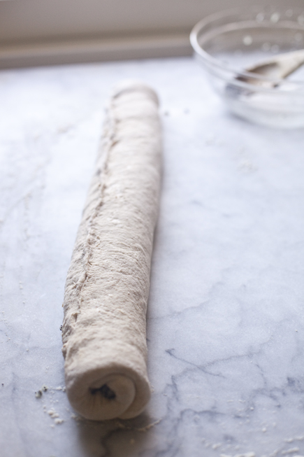 Onion Poppy Seed Bread Roll Before Baking | Artisan Bread in Five Minutes a Day