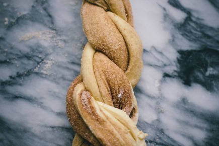Cinnamon Brioche Braid Before Baking | Artisan Bread in 5 Minutes a Day