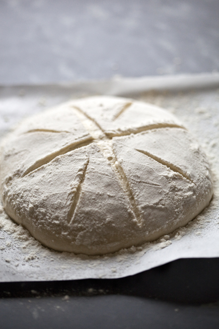 Old dough boule | Breadin5 03