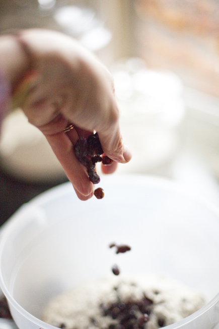 Adding raisins to bread dough | Artisan Bread in Five Minutes a Day