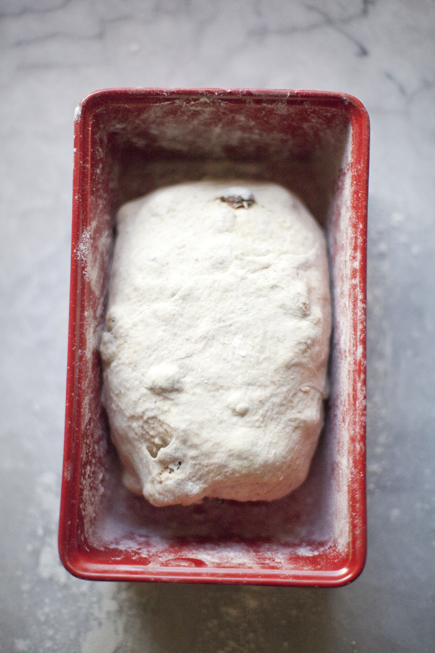 Raisin Walnut Bread Dough | Artisan Bread in Five Minutes a Day