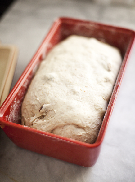 Raisin Walnut Bread Dough Rising | Artisan Bread in Five Minutes a Day