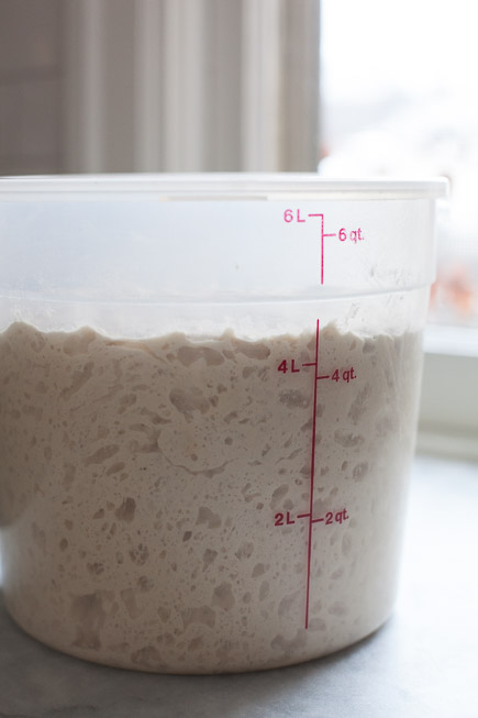 Active Bread Dough in a Container| Artisan Bread in Five Minutes a Day