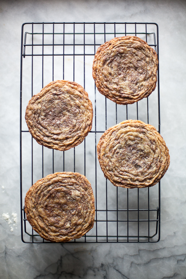 chocolate-chip-cookies-the-vanilla-bean-baking-book5-of-7