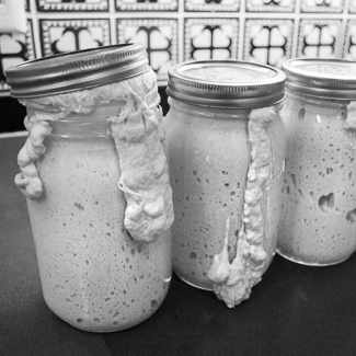 Easy Sourdough Starter | Artisan Bread in Five Minutes a Day