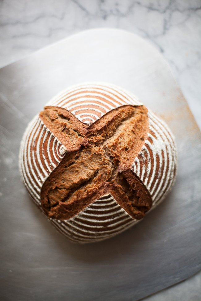 Sourdough Bread Loaf | Easy Sourdough Starter | Artisan Bread in Five Minutes a Day
