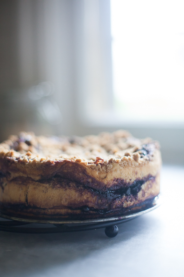 Yeasted Blueberry Coffee Cake | Artisan Bread in Five Minutes a Day