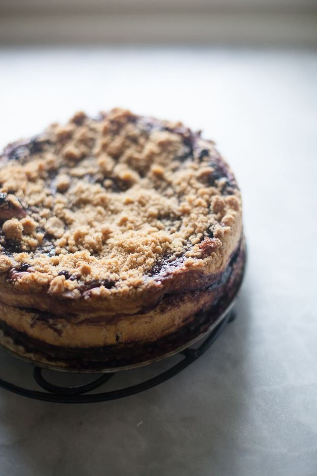 Yeasted Blueberry Coffee Cake | Artisan Bread in Five Minutes a Day