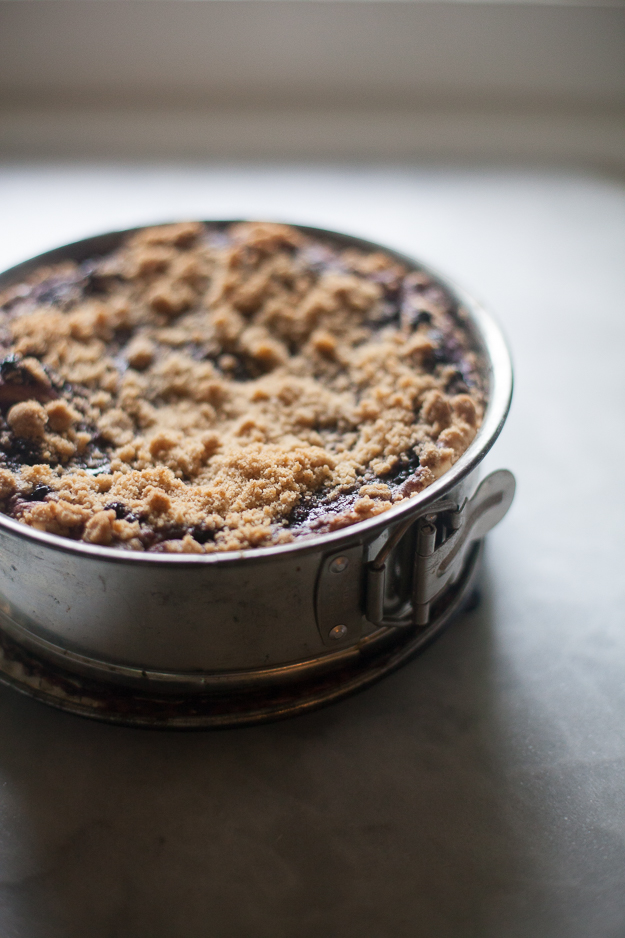 Yeasted Blueberry Coffee Cake | Artisan Bread in Five Minutes a Day