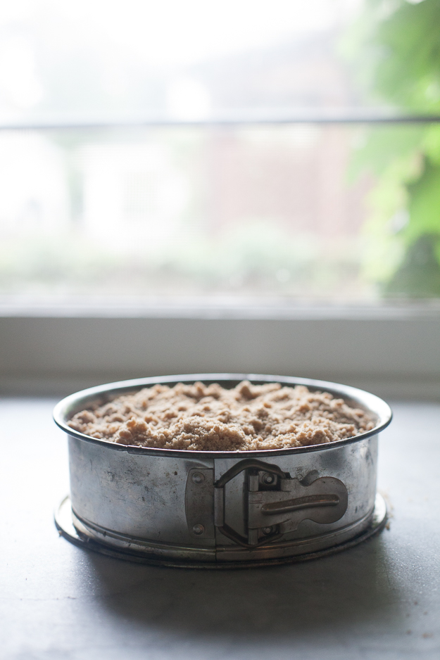 Yeasted Blueberry Coffee Cake | Artisan Bread in Five Minutes a Day