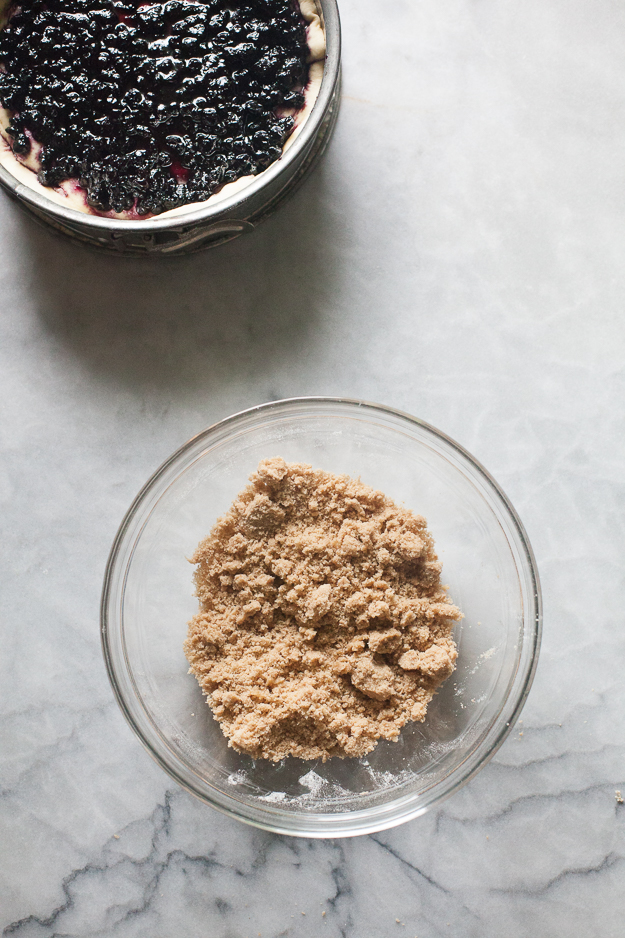 Yeasted Blueberry Coffee Cake with Streusel Topping | Artisan Bread in Five Minutes a Day