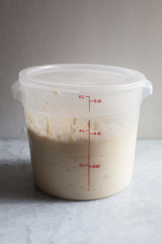 Container of Bread Dough | Artisan Bread in Five Minutes a Day